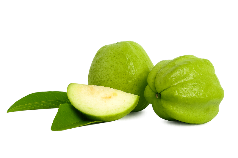 Kakadu Plum