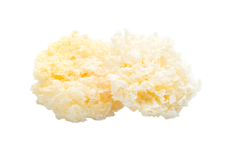 Snow Mushroom