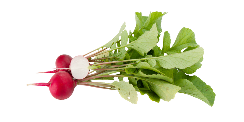 Bio-Fermented Radish Root