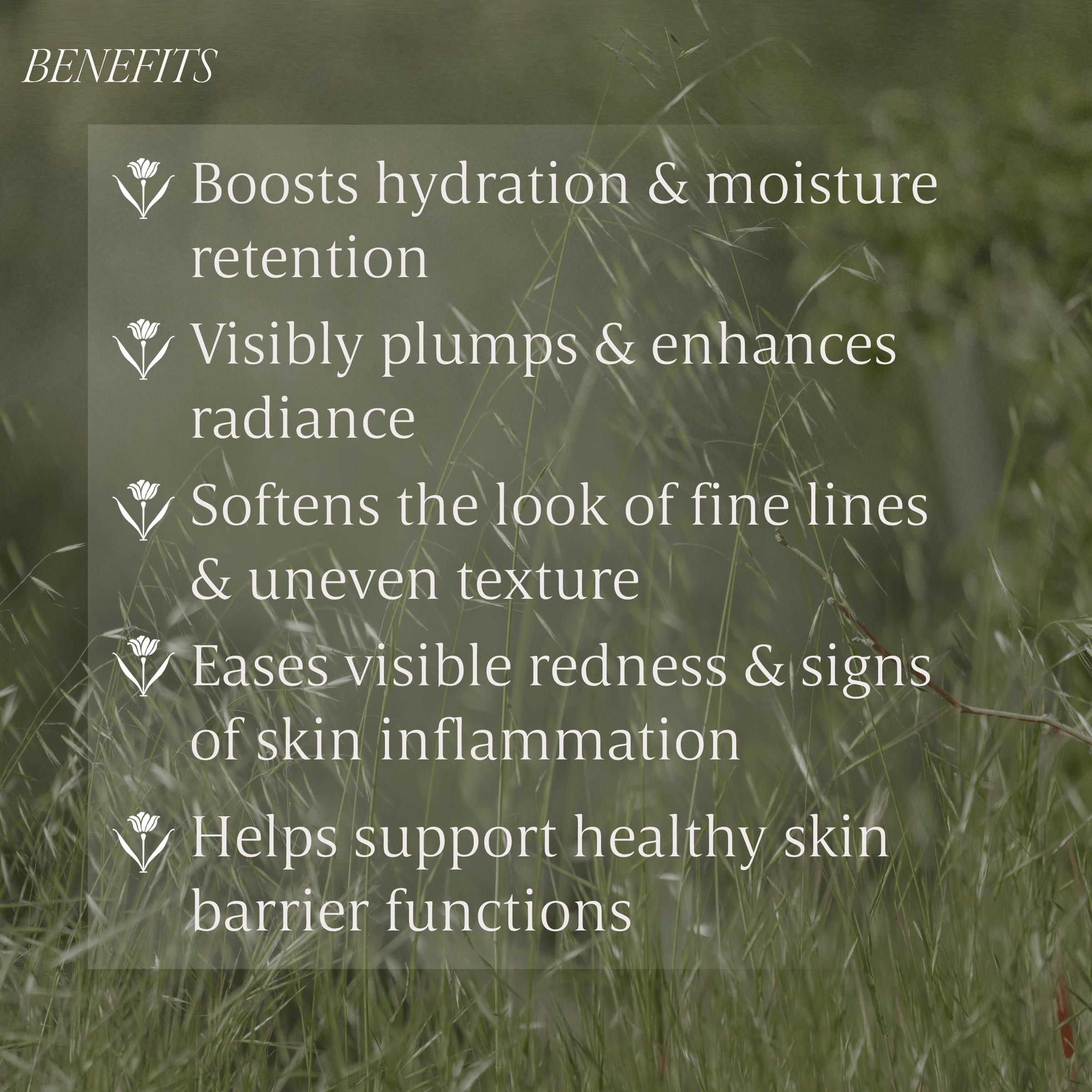 Hydrating Serum