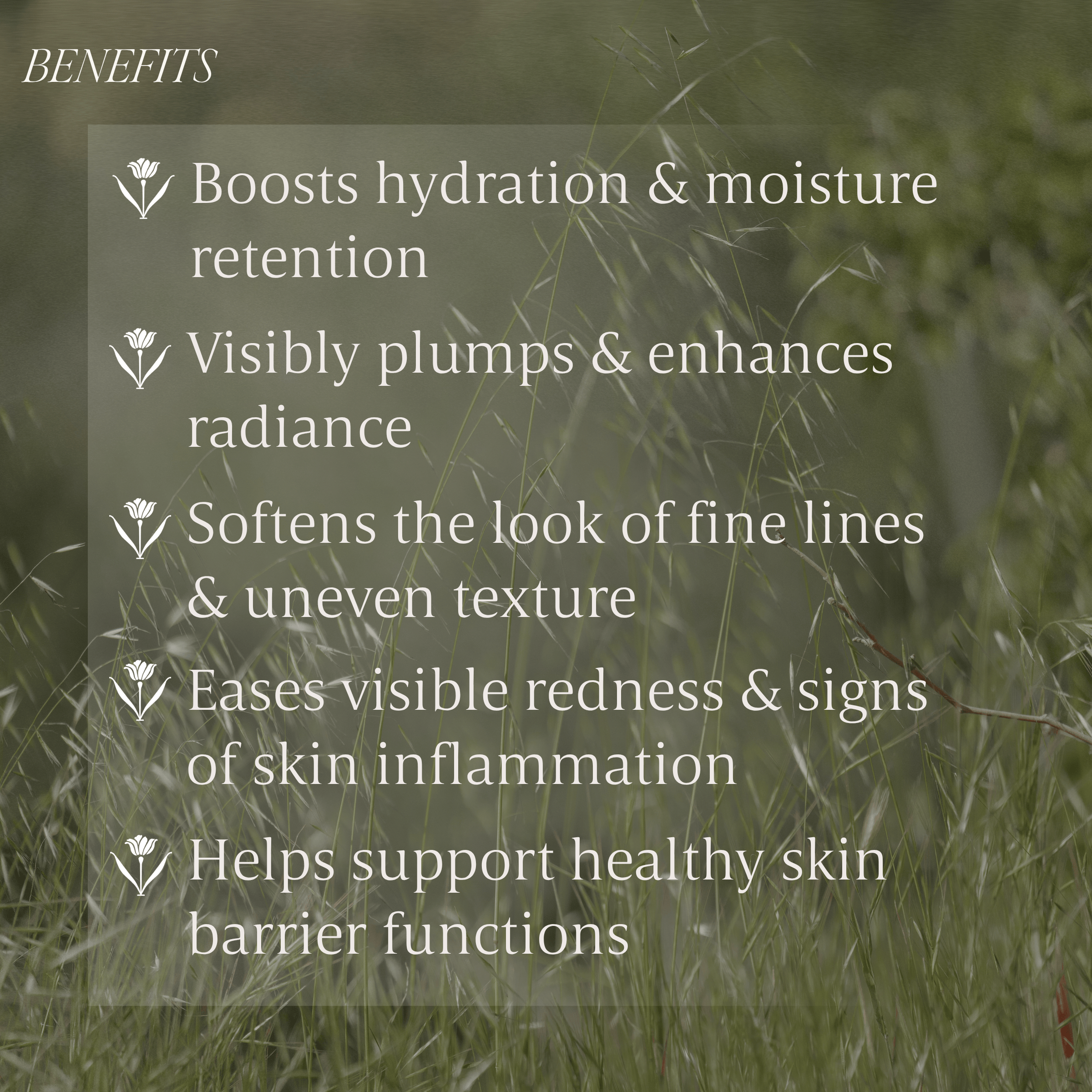 Nourishing Eye Cream